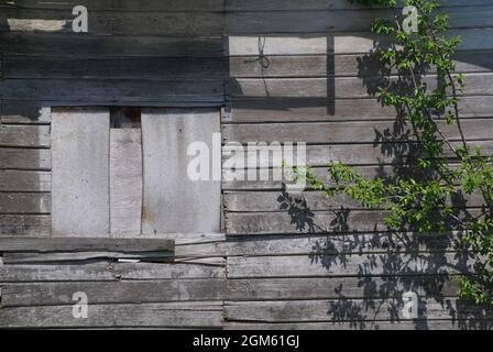 Abandoned boarded up farmhouse Stock Photo