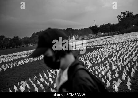 A man works at installing some of the 660,000 white flags, representing the number of US lives lost to Covid-19, on the National Mall in Washington, DC, Thursday, September 16, 2021. The project, by artist Suzanne Brennan Firstenberg, titled âIn America: Rememberâ, will be on display September 17, 2021 through October 3, 2021. Credit: Rod Lamkey/CNP Stock Photo