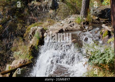 Close-up of a powerful waterfall in high quality. Side view of a sun-drenched waterfall in the wild. A large stream of water pours down from the mount Stock Photo