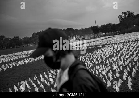 A man works at installing some of the 660,000 white flags, representing the number of US lives lost to Covid-19, on the National Mall in Washington, DC, USA, Thursday, September 16, 2021. The project, by artist Suzanne Brennan Firstenberg, titled 'In America: Remember', will be on display September 17, 2021 through October 3, 2021. Photo by Rod Lamkey/CNP/ABACAPRESS.COM Stock Photo