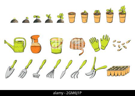 A set of objects on the theme of gardening, garden tools, sprouted seedlings, seedlings in doodle style on a white isolated background Stock Vector