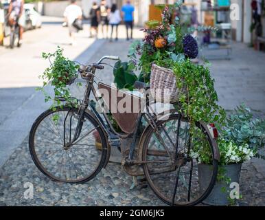 flower arrangement in wicker basket on vintage bicycle Stock Photo