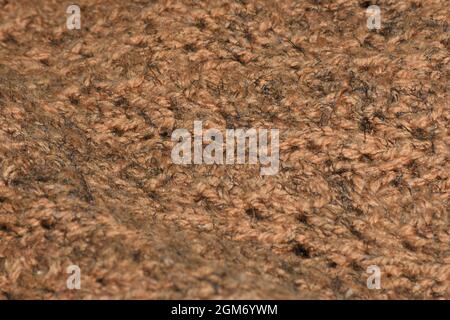 brown woven abstract background with selective focus Stock Photo