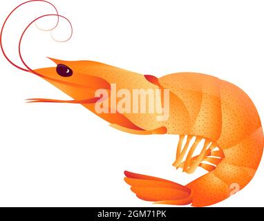 Shrimp on a white background. Seafood. Vector flat illustration. Stock Vector