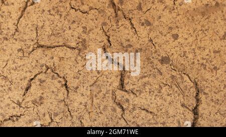 An old wall made of clay which begins to crack - Clay wall texture background Stock Photo