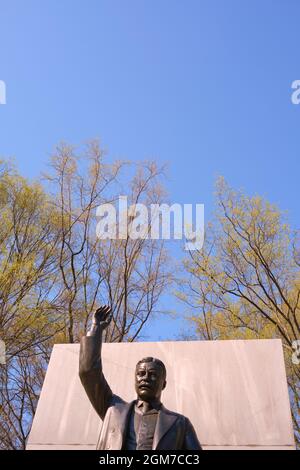 Detail of the bronze President Teddy Roosevelt statue, sculpture at the National Memorial during spring tree buds. On Theodore Roosevelt Island near W Stock Photo