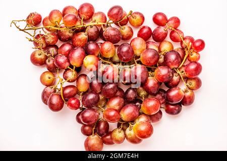 Several bunches of ripe and clean claret color dessert grapes on white table Stock Photo