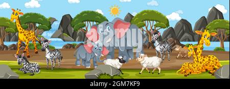Panorama landscape with various wild animals in the forest illustration ...