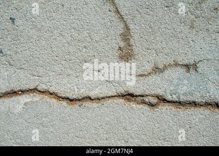 Image of cement with many cracks and some moisture. Vector concrete background texture Stock Photo