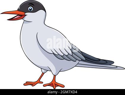 Cute Sternidae bird cartoon vector illustration Stock Vector