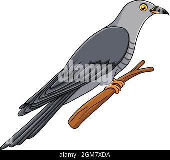 Cute Cuckoo bird cartoon vector illustration Stock Vector