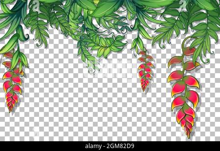 Various tropical leaves on transparent background illustration Stock Vector