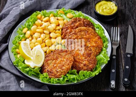 baked pork patties with browned cheese crust on a green lettuce lives with  lupin beans, ketchup and mustard on a plate Stock Photo