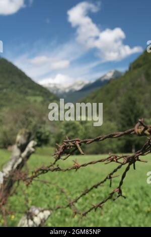 Close-up of barbed wire fence in pasture in alpine environment Stock Photo