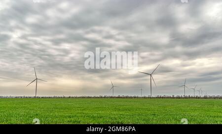 Wind turbines generating electricity in a green field. Green power generation concept. Stock Photo