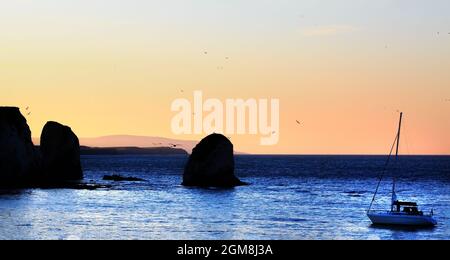 Seascape with two Rocks and a small sailing boat at dusk - with a nice orange sky - this was taken in low light, so some noise is visible. Stock Photo