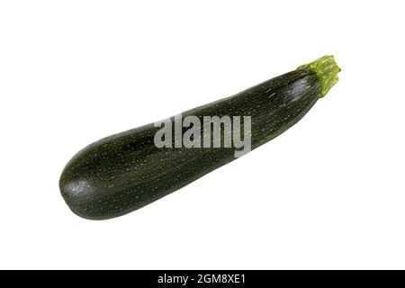 fresh green zucchini isolated on white background, fresh vegetables, side view Stock Photo