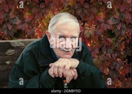 handsome, good-natured man of 88 years. portrait of an old gray-haired man in autumn. gray-haired man on the background of beautiful autumn leaves Stock Photo