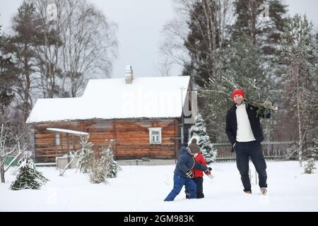 A man with a cut Christmas tree on the street. Preparation for the new year. Stock Photo