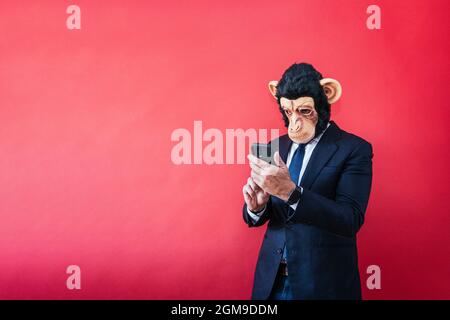 Businessman in monkey mask using smartphone. Stock Photo