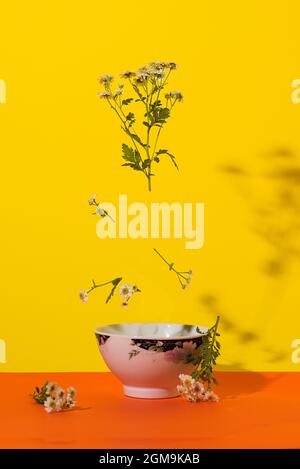 The concept of making tea. Chamomile flowers float in the air over a porcelain dish. Stock Photo