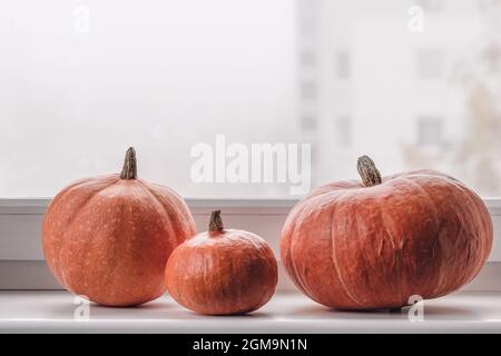 three pumpkins of a different size on a window sill Stock Photo