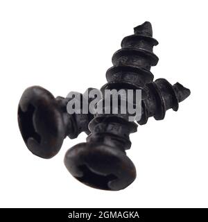 two black screws isolated on white background, clipping path Stock Photo