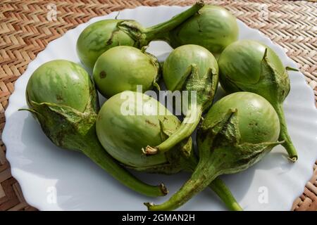 Fresh round light green small to medium sized Brinjals or eggplants closeup. Farm freshly harvested Indian vegetables green aubergines. Stock Photo