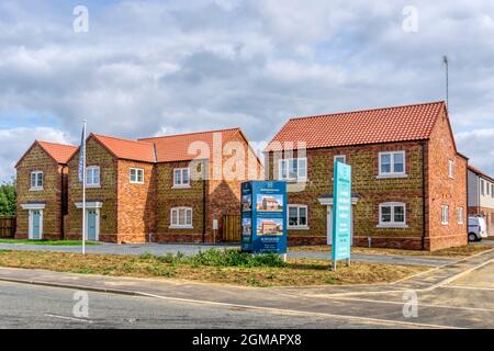 New detached housing by Windborough Homes for sale. Built on greenfield site in the Norfolk village of Ingoldisthorpe. Stock Photo