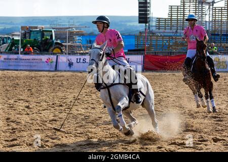 Sandbanks, Poole, Dorset, UK . 17th September 2021. The Sandpolo British Beach Polo Championships gets underway at Sandbanks beach, Poole on a warm sunny day. The largest beach polo event in the world, the two day event takes place on Friday and Saturday, as visitors head to the beach to see the action. Credit: Carolyn Jenkins/Alamy Live News Stock Photo