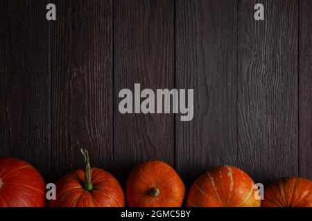 Five pumpkins in a row on wooden table. Copy space. Stock Photo