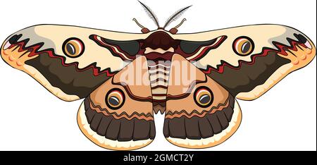 Cute Moth cartoon vector illustration Stock Vector