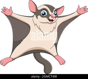 Cute Sugar glider cartoon vector illustration Stock Vector