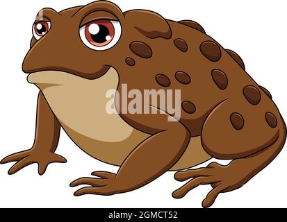 Cute Toad cartoon vector illustration Stock Vector