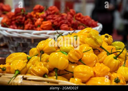 hot yellow or red chili pepper for sale at the market Stock Photo