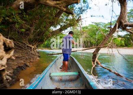 An embera indian man in a dugout canoe is moving up the Rio Pequeni, Chagres national park, Republic of Panama, Central America. Stock Photo