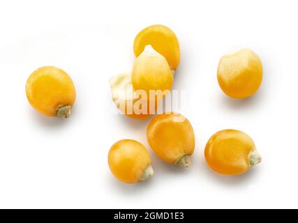 corn grains macro isolated on white background, top view Stock Photo