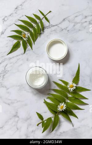 Natural cosmetic products. Daily hygiene and female healthy skincare. Cosmetic cream with cammomile flofers on marble countertop. SPA natural organic Stock Photo