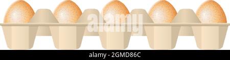 Eggs in carton box on a white background. Stock Vector