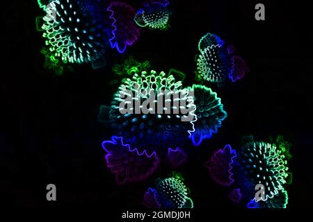Abstract virus molecule background illustration. Spiral DNA and bacteria. Type of virus under the microscope. Coronavirus pandemic. Quarantine. Attent Stock Photo