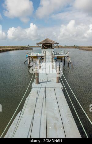 Small bar on stilts in the Salt pans of Aveiro, Portugal. Stock Photo