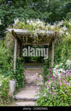 Flowers drape over and surround an old wooden pergola in the garden Stock Photo