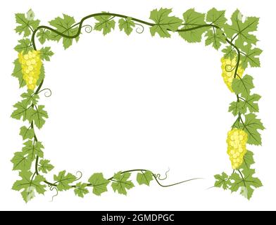 Rectangular Frame. Vine with foliage and bunches of grapes. Viticulture and farming. Branches with berries on a dense bush. Young vineyard. Sweet Stock Vector