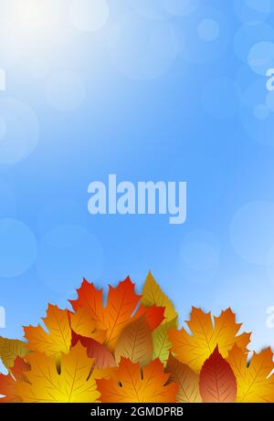 Autumn Wood Banner 