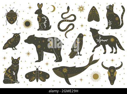 Witchcraft magic mystical boho doodle animals and insects. Magical cat, fox, wolf, owl, whale decorated with moon, stars, leaves vector illustration Stock Vector