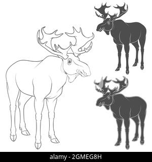 Set of black and white illustrations with moose, elk. Isolated vector objects on white background. Stock Vector