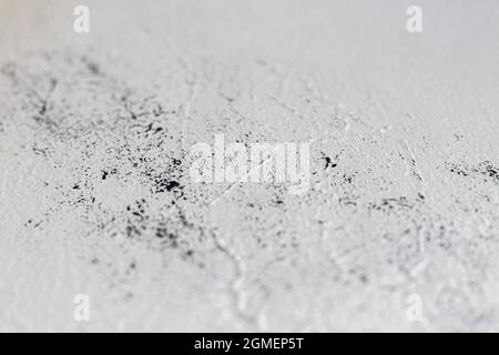 Old concrete wall, natural texture. Light shadows background. Selective focus. Free space Stock Photo