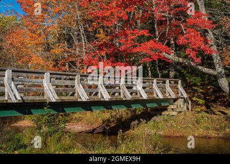 Foot bridge over a slow moving river in autumn. Stock Photo