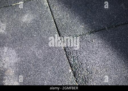 Grey paving stone, pedestrian walkway, pavement close up, the texture, top view.Cement brick squared stone floor background. Concrete paving slabs. Pa Stock Photo
