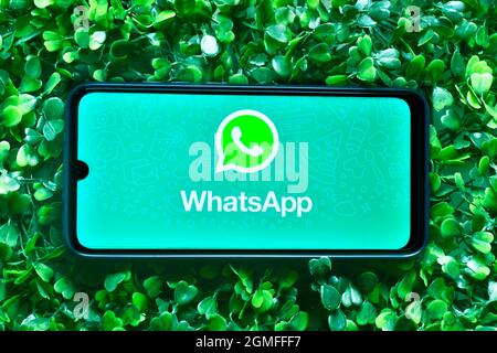 New Delhi, India - September 08, 2019: WhatsApp logo on smartphone Stock Photo